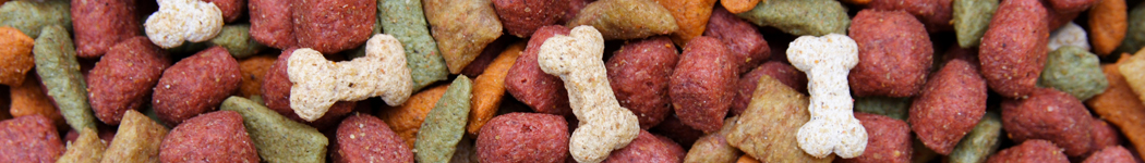 cibo cani